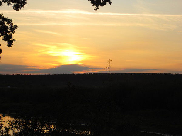 Настя Комар