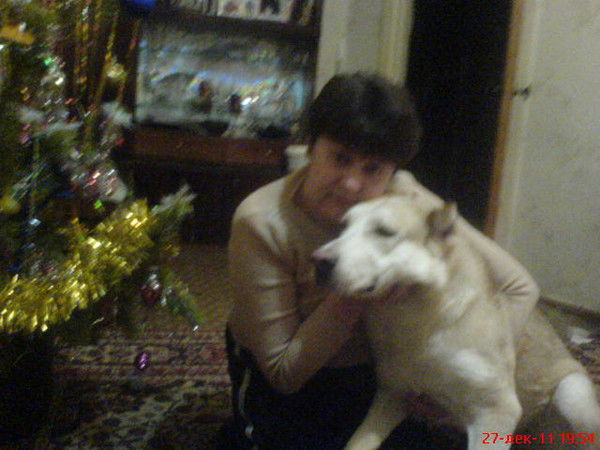 Ирена Шематович