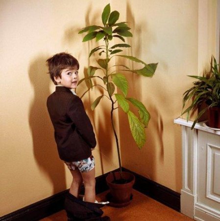 Алексей Ланговой