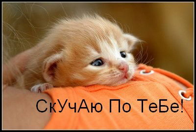 Сергей Ефремов