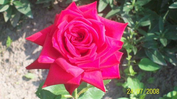 Антонина Швецова