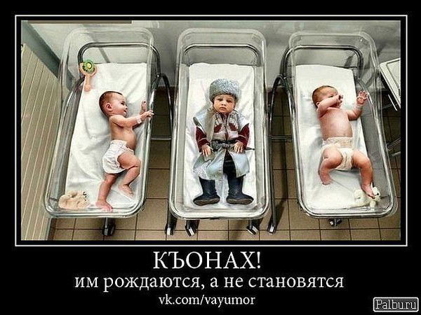 Sulambek_95 Аллеро