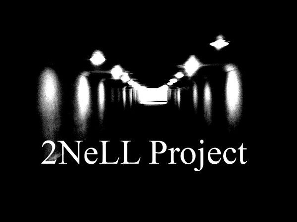 Sergey & Damir 2Nell Project
