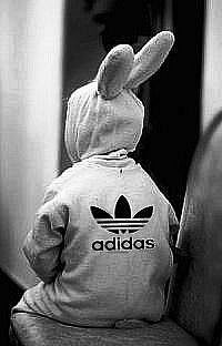 Гарик Зайцев