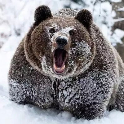 Стас Бормотов