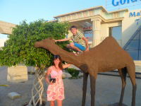 Светлана Махнёва