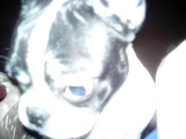 Александр Ширявсков