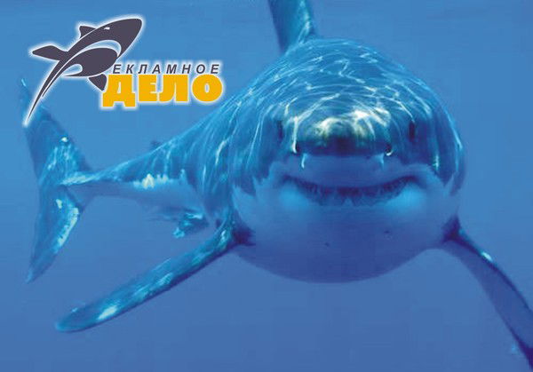 Юрий Пашков