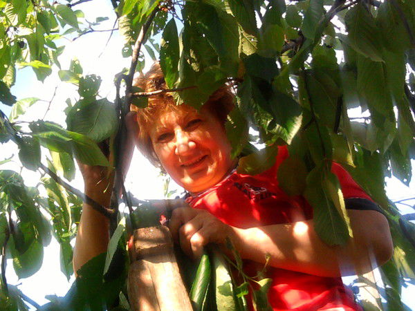 Елена Лебединская