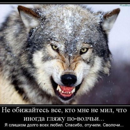 Артём Минибаев