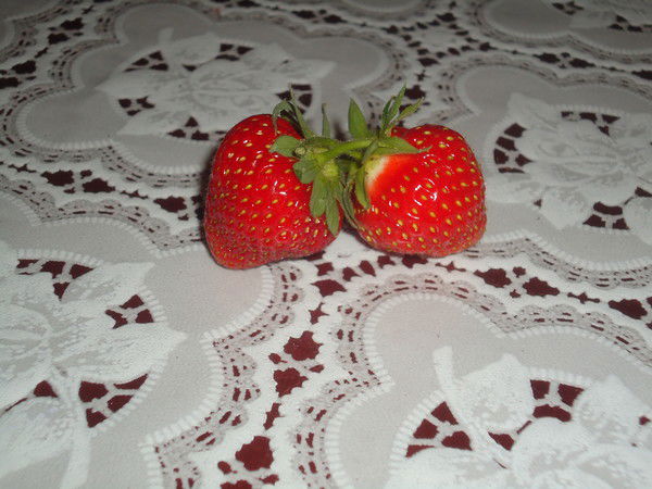 Ира Тазетдинова