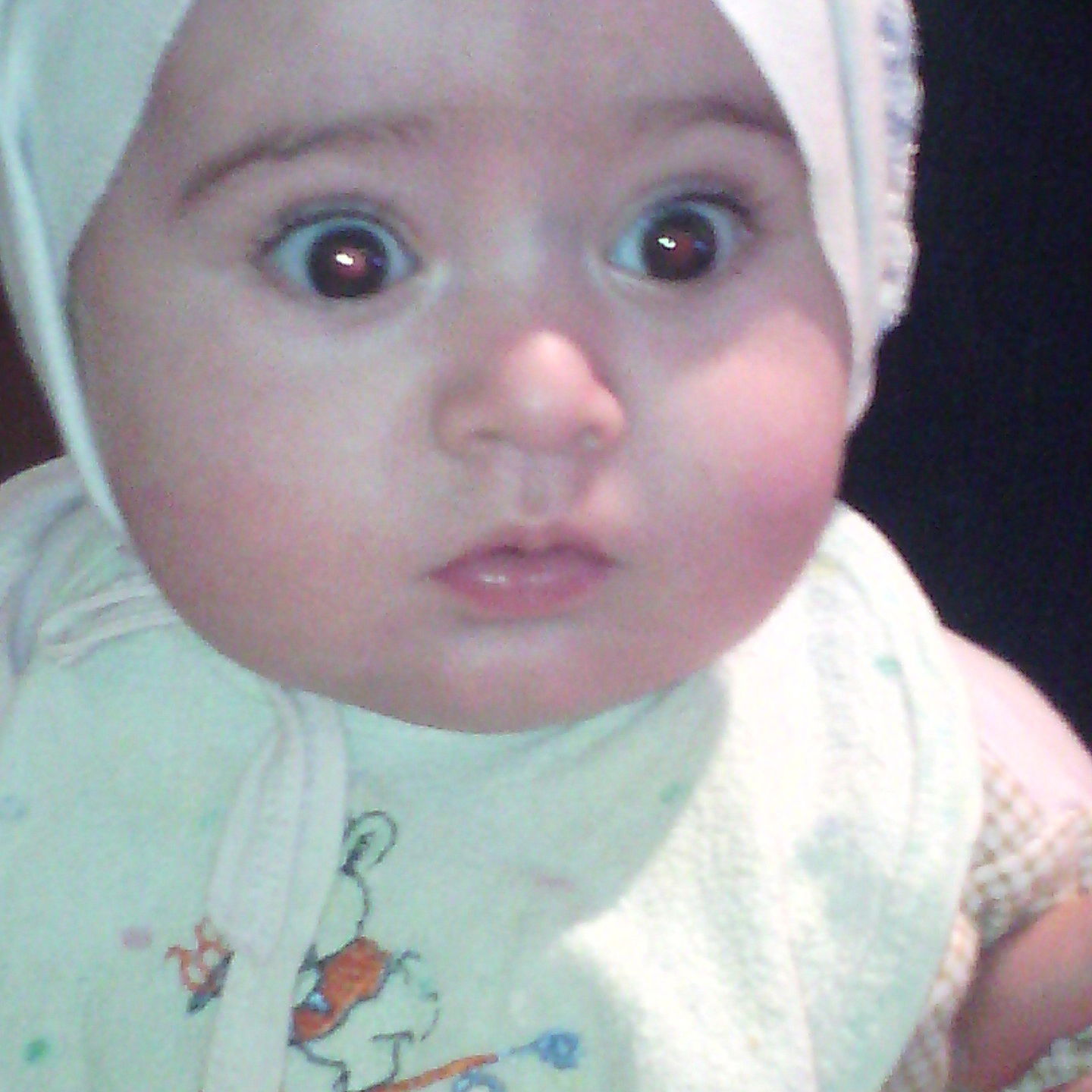 Жамиль Азери