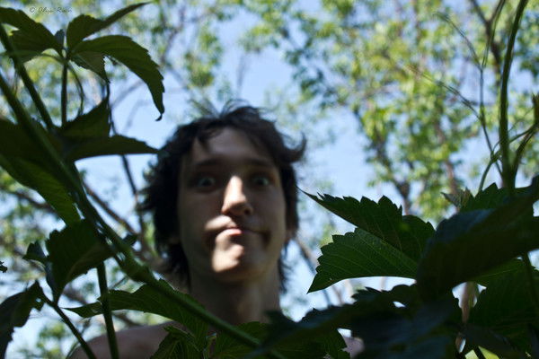 Александр Честнов