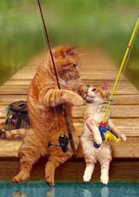 Геннадий Каменюкин