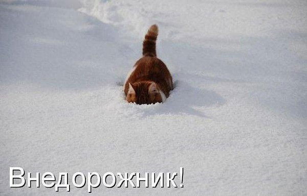 Ирина Королёва