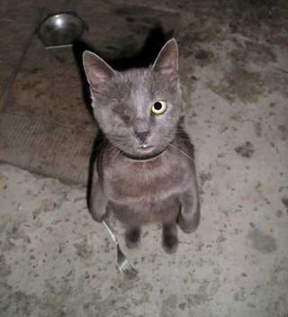 Ильдар Нугуманов