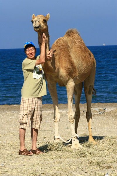 Нурсултан Аймдосов