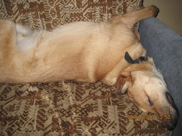 Ольга Титова