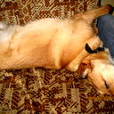 Ольга Титова