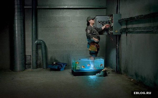 Денис Орлов