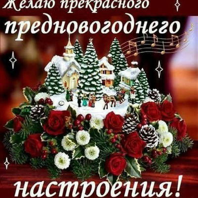 Анель Мукушева