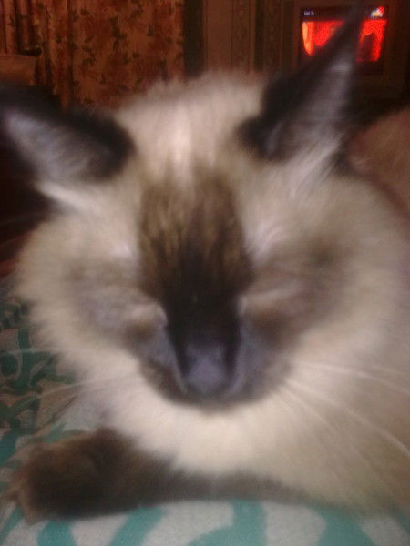 Eвгения Раскина