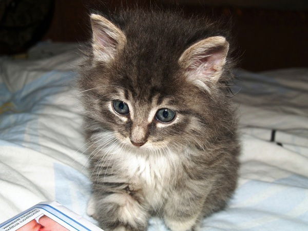 Татьяна Ремина