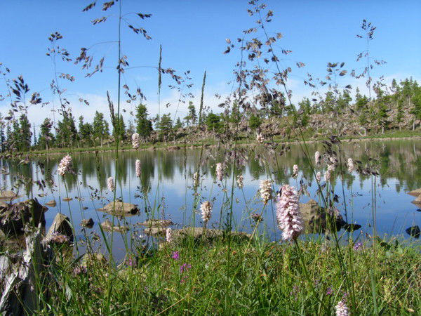 Ольга Костылева
