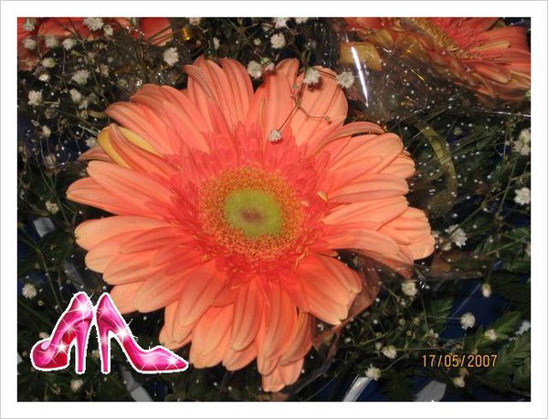 Арина Иванова