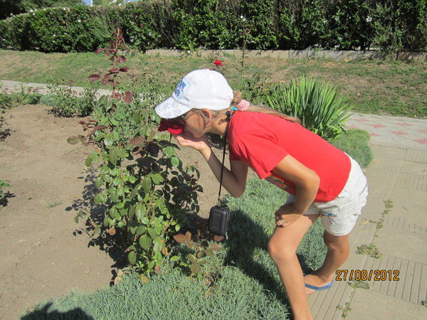 Елена Стихина