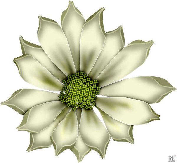 Наталия Боштовая