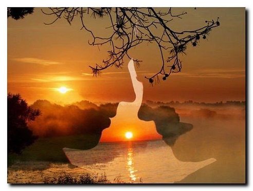 Алексей Тюфтяев