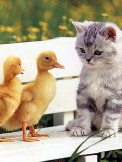 Айдар Рахимов