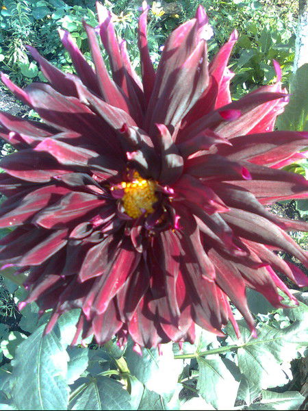 Эльвира Равилова