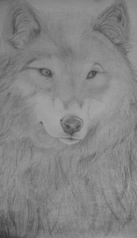 Татьяна Попова