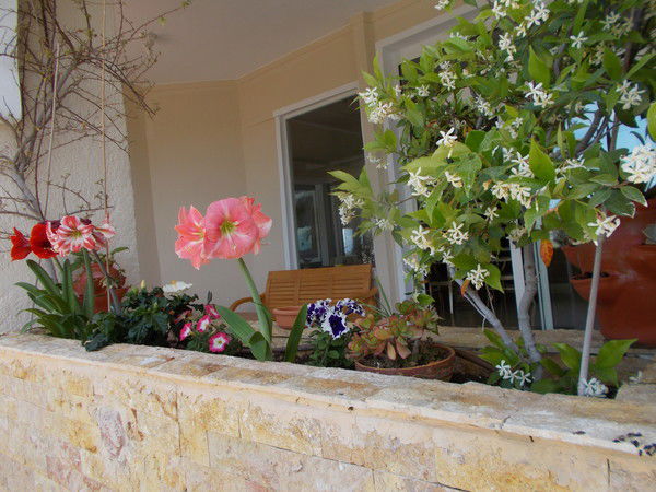 Фарида Сабирова