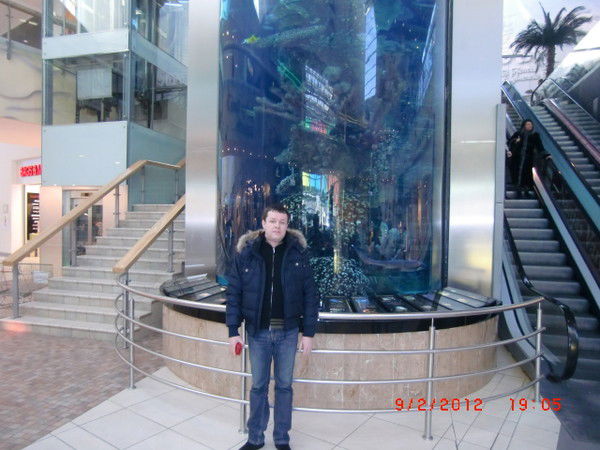 Денис Жельвис