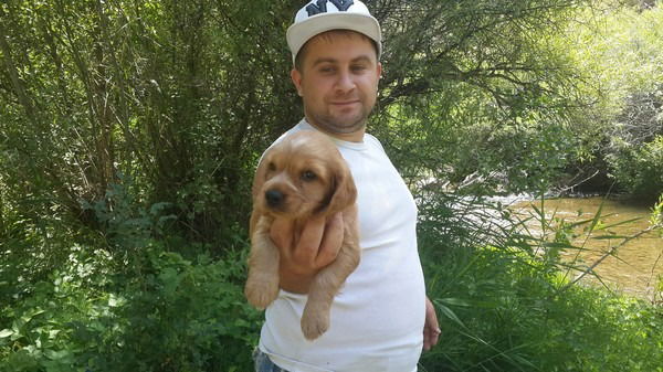 Андрей Литвинов