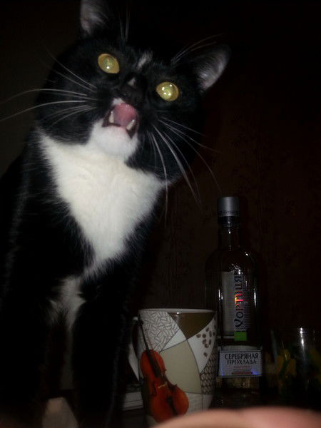 Сергей Гусаров