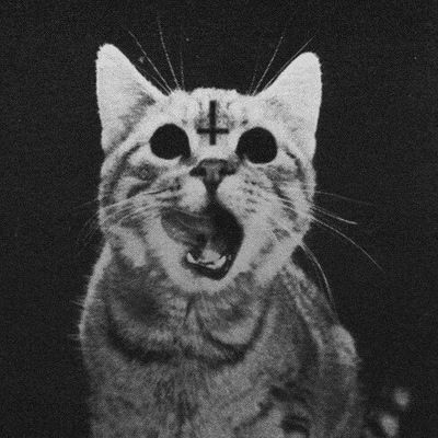 Джанель Аббасова