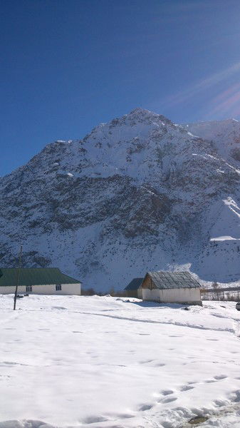 Фаромуз Кадиров