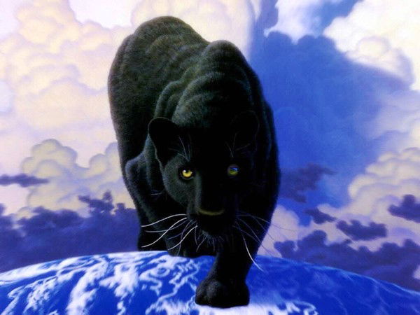 Светлана Андреева