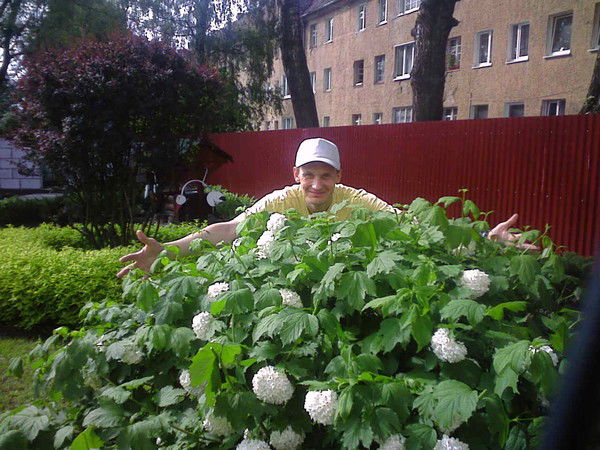 Анатолий Николаев