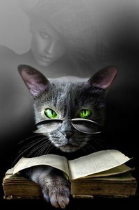 Наталья Бровко