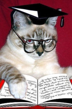 Ася Байдалинова