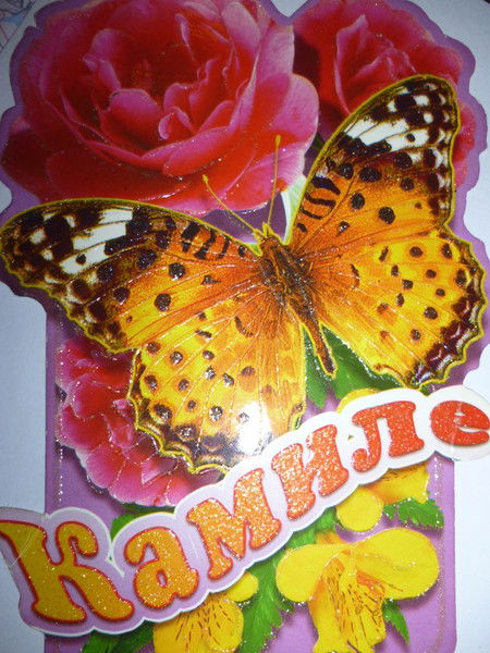 Камила Косаманова