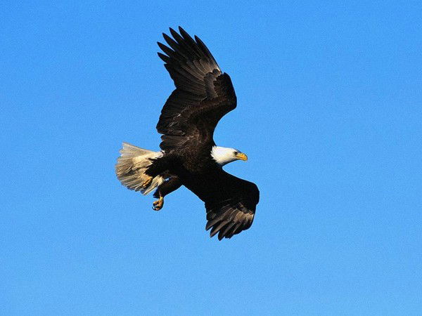 Гузель Габитова