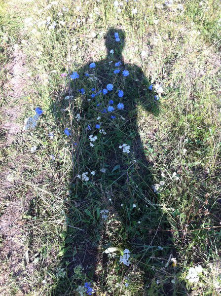 Айдар Закиров