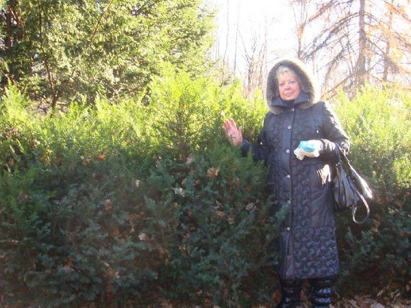 Светлана Шалгина