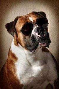 Славик Баглык